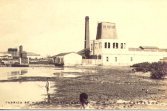 fca.-de-hielo-de-reina-1